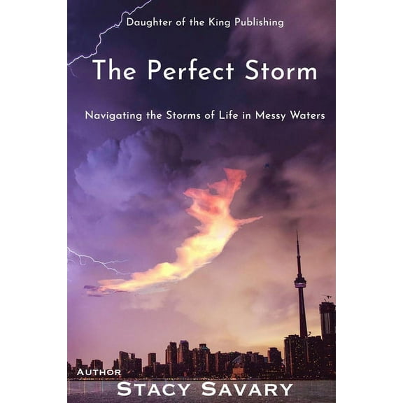 The Perfect Storm : Navigating the Storms of Life in Messy Waters (Paperback)