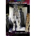 thumbnail image 1 of The Perfect Stranger, (Paperback), 1 of 1