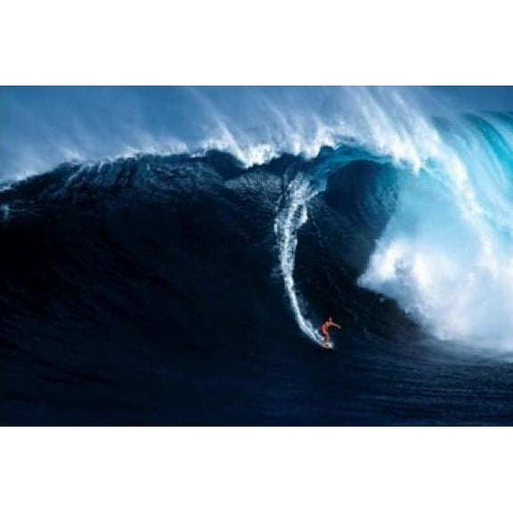 The Perfect Wave Poster (36 x 24)