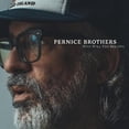 thumbnail image 1 of The Pernice Brothers - Who Will You Believe - Music & Performance - Cassette, 1 of 1