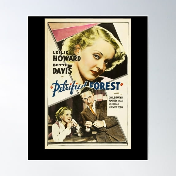 The Petrified Forest Poster Wall Art, Modern Wall Decor, 8x12 UNFRAMED