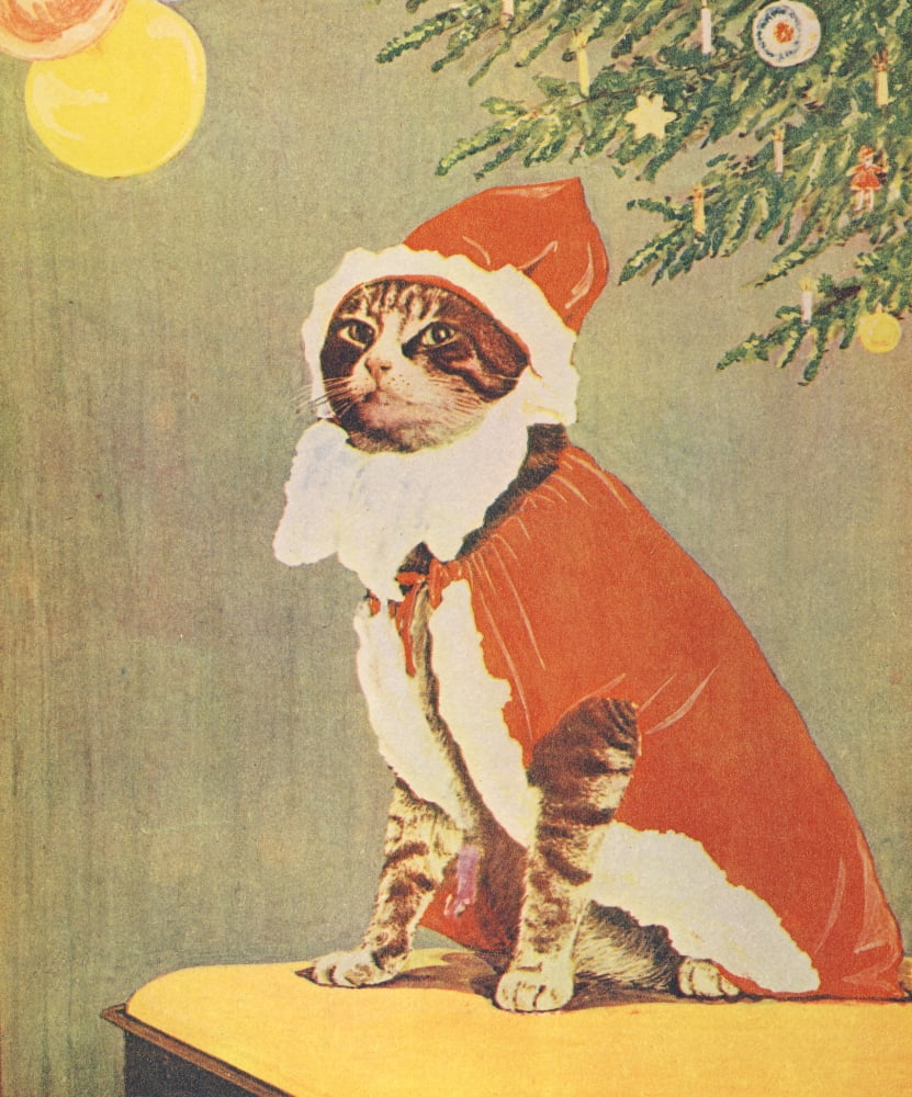 Vintage cat clearance christmas