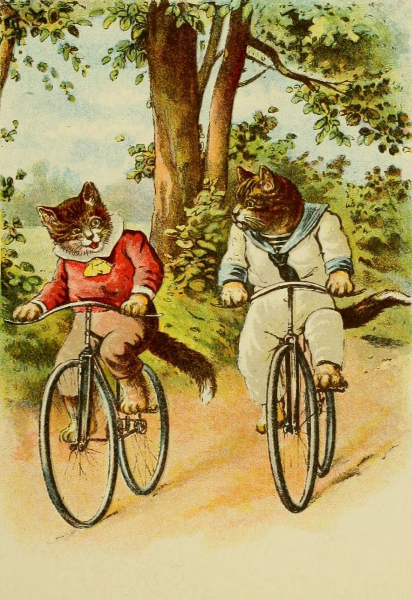 The Pillar-Box 1905 Anthropomorphic Cats Bike ride Canvas Art - Unknown (18 x 24)