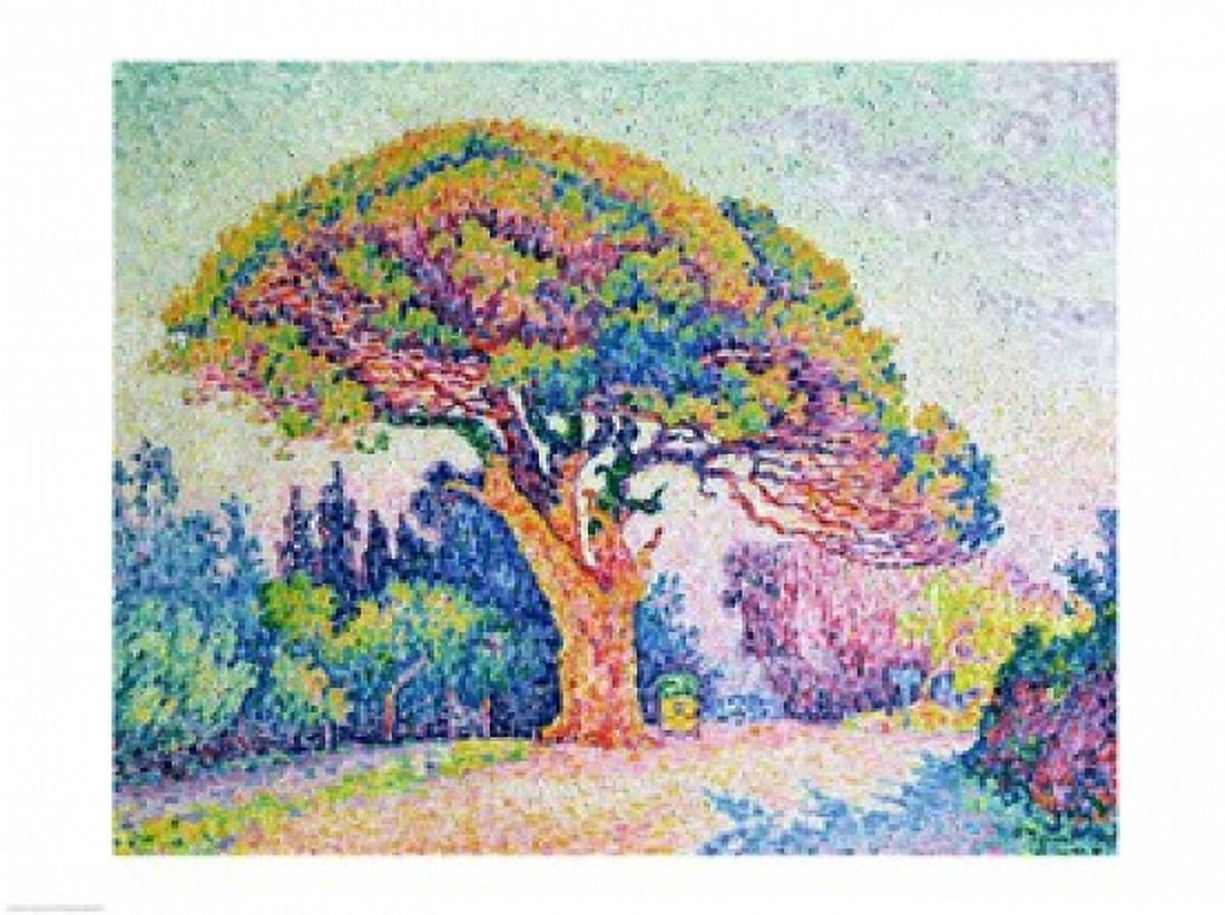 The Pine Tree at St Tropez 1909 Canvas Art - Paul Signac (24 x 18)