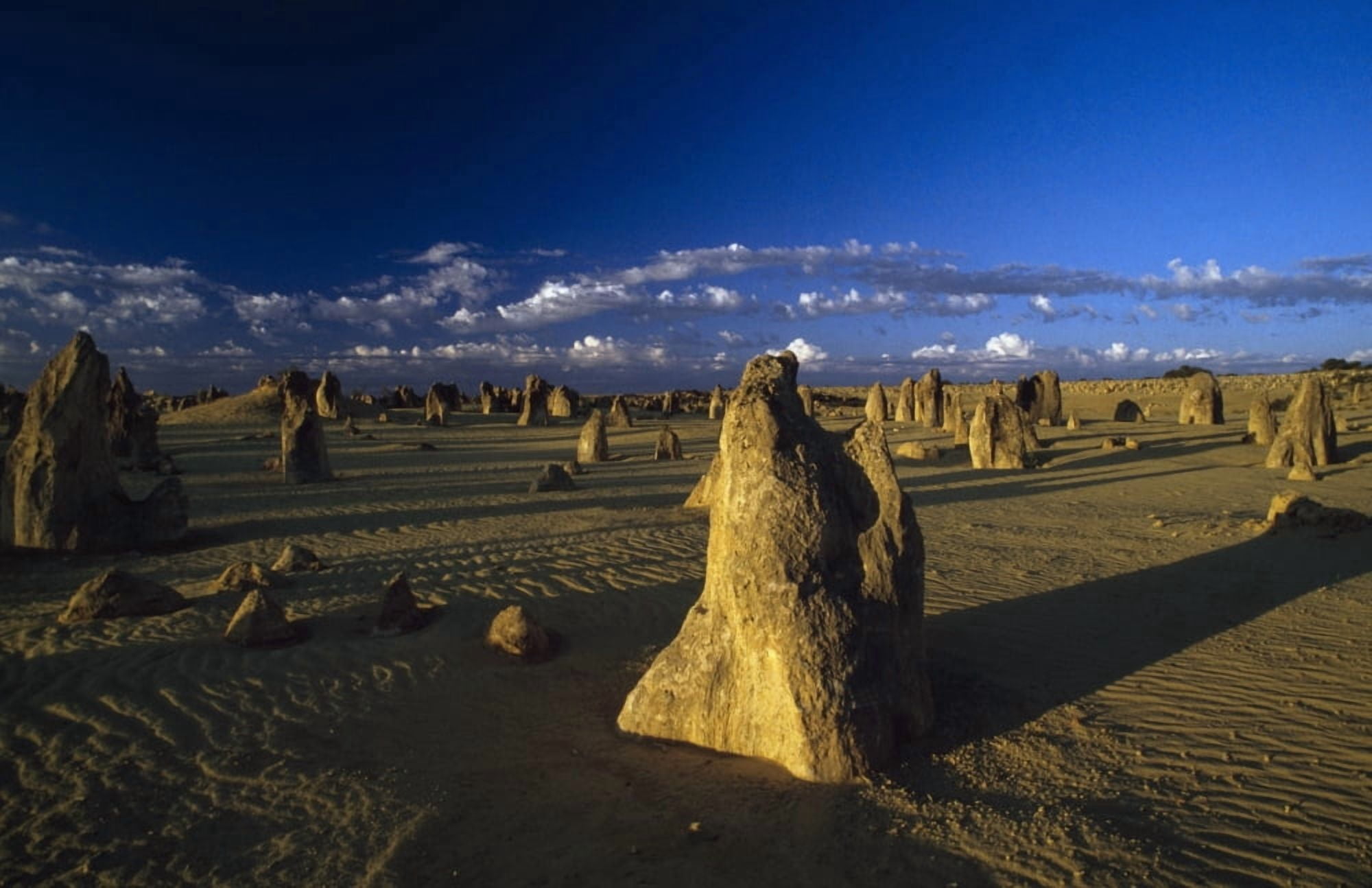 The Pinnacles Canvas Art - Michael Coyne Design Pics (36 x 24)