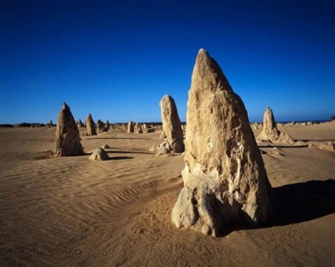 The Pinnacles Nambung National Park Western Australia Australia Canvas Art - Walter Bibikow DanitaDelimont (47 x 38)