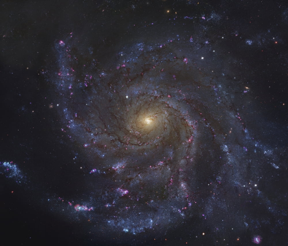 The Pinwheel Galaxy Canvas Art - Robert GendlerStocktrek Images (31 x 27)