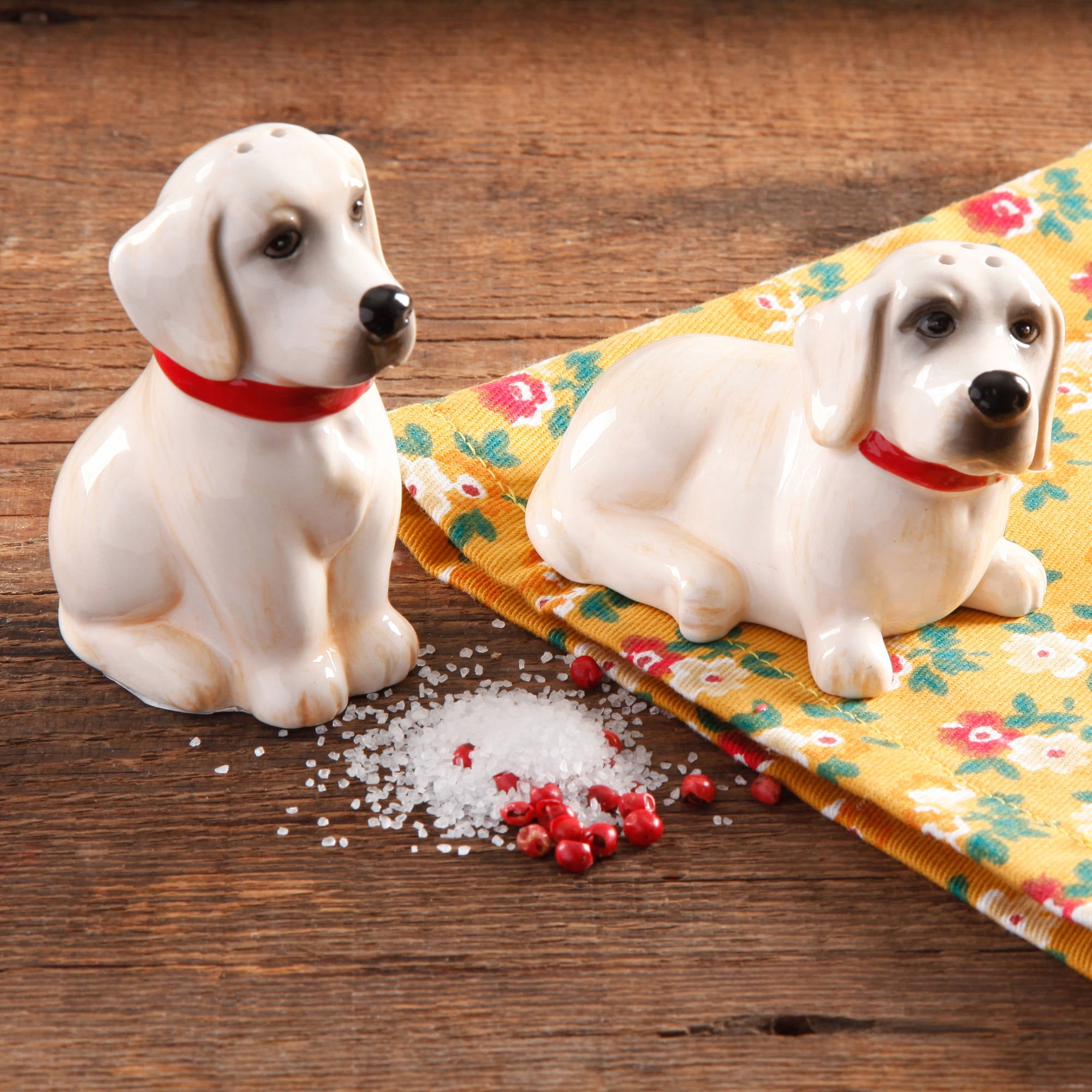 リメイク缶　お家モチーフ　小鳥ピック　No.197 The Pioneer Woman 3D Salt and Pepper Lucy and Duke - Walmart.com