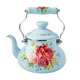 Blue enamel teapot sales