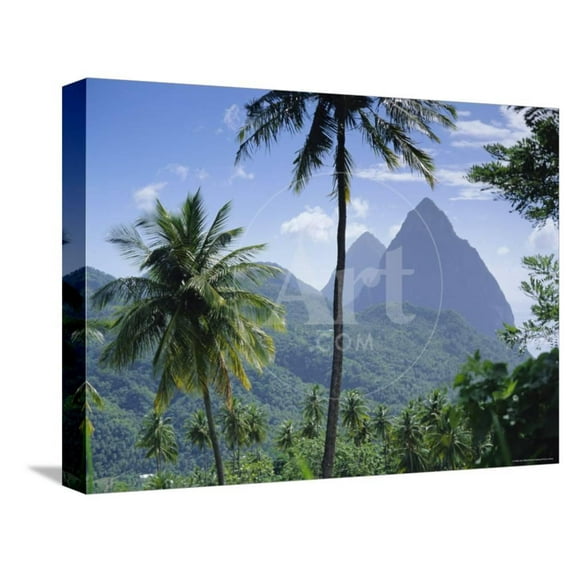 The Pitons, St Lucia, Caribbean, West Indies, Botanical Stretched Canvas Wall Art by John Miller Sold by Art.Com