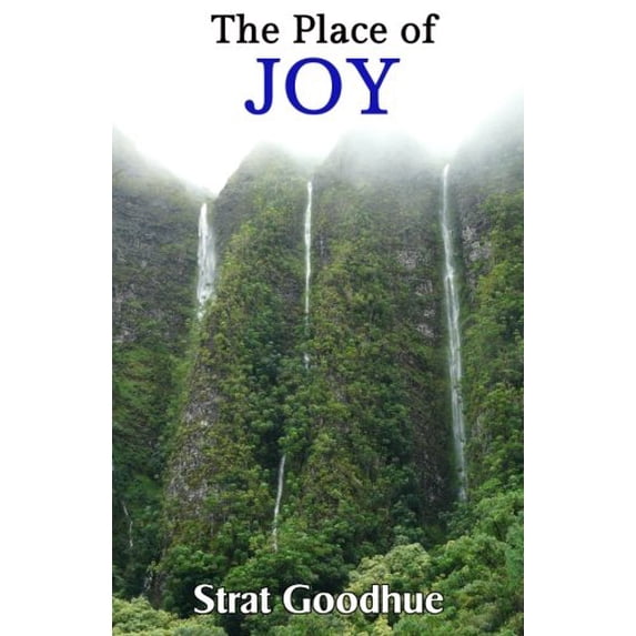 Pre-Owned The Place of Joy: Finding Joy and Meaning in Life in the 21st Century Paperback