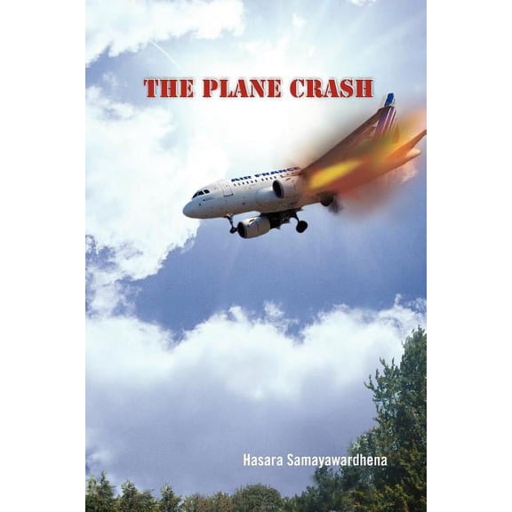 The Plane Crash (Paperback)