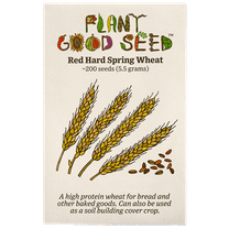 The Plant Good Seed Red Hard Spring Wheat Seeds - 200 Seeds | Vegetables | Garden & Patio