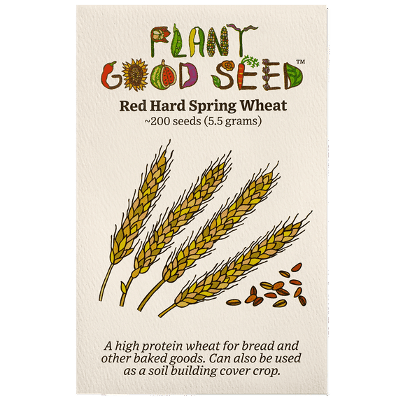 The Plant Good Seed Red Hard Spring Wheat Seeds - 200 Seeds | Vegetables | Garden & Patio