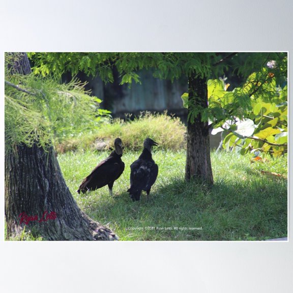 The Plot Thickens Poster Wall Art, Modern Wall Decor For Living Room Bedroom, 8x12 UNFRAMED