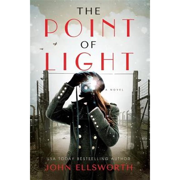 Pre-Owned The Point of Light (Paperback) 0578494426 9780578494425