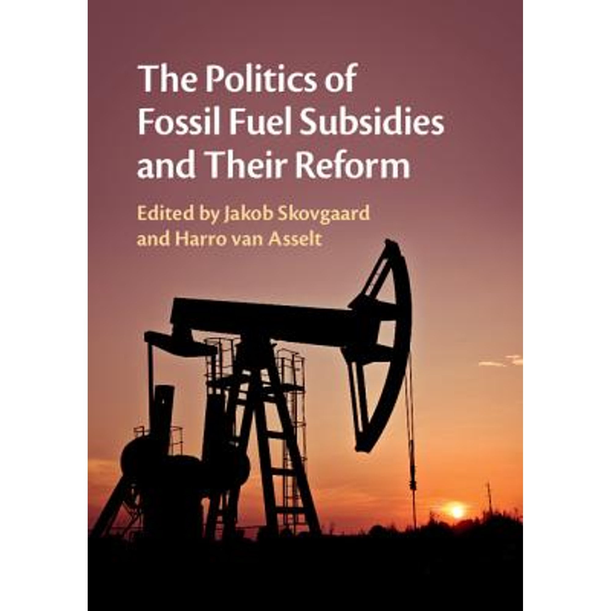 Pre-Owned The Politics of Fossil Fuel Subsidies and their Reform ...
