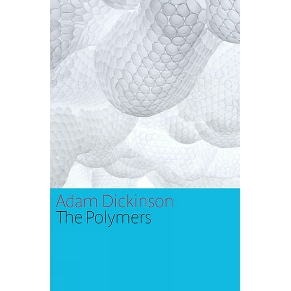 The Polymers, (Paperback)