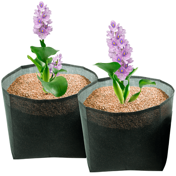 plant-bag