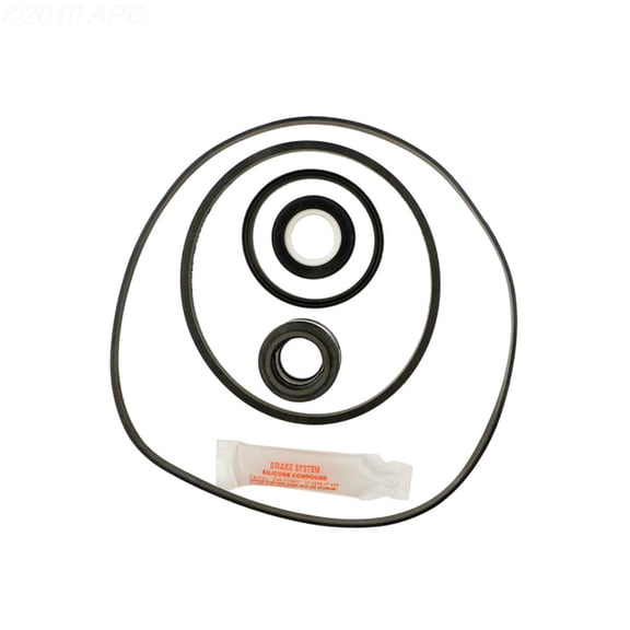 The Pool Supply Shop APC APCK1001 Repair Kit for Max-Flo SP1800X Pool Pump
