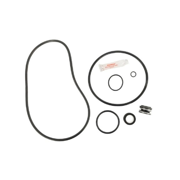 The Pool Supply Shop Sta-Rite Max-E-Pro-Kit