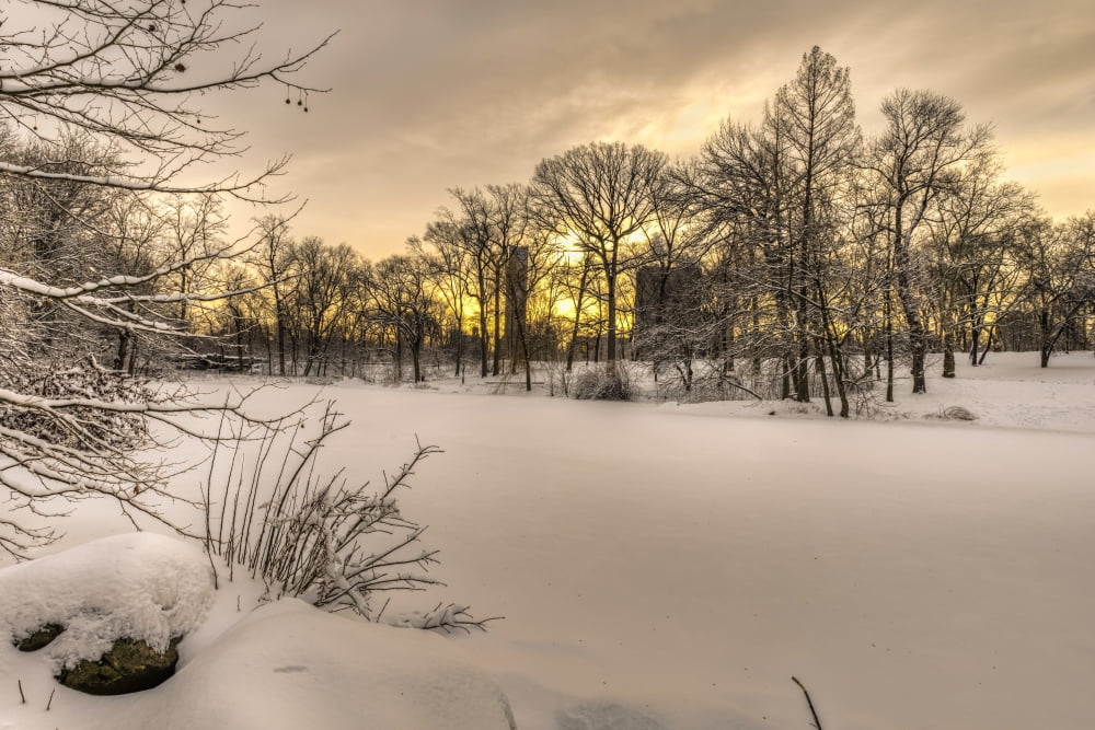 The Pool frozen over at sunrise in Central Park New York City New York United States of America Canvas Art - F M Kearney Design Pics (38 x 24)