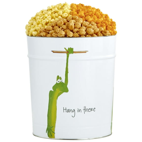 The Popcorn Factory Popcorn Gift Tin, Hang in There, 3.5 Gallons (Robust Cheddar, Butter, Caramel)