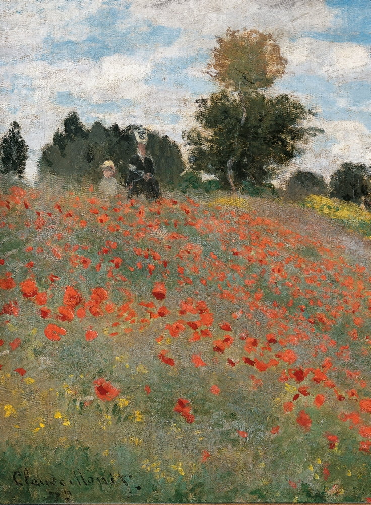The Poppy Field Canvas Art - (18 x 24)