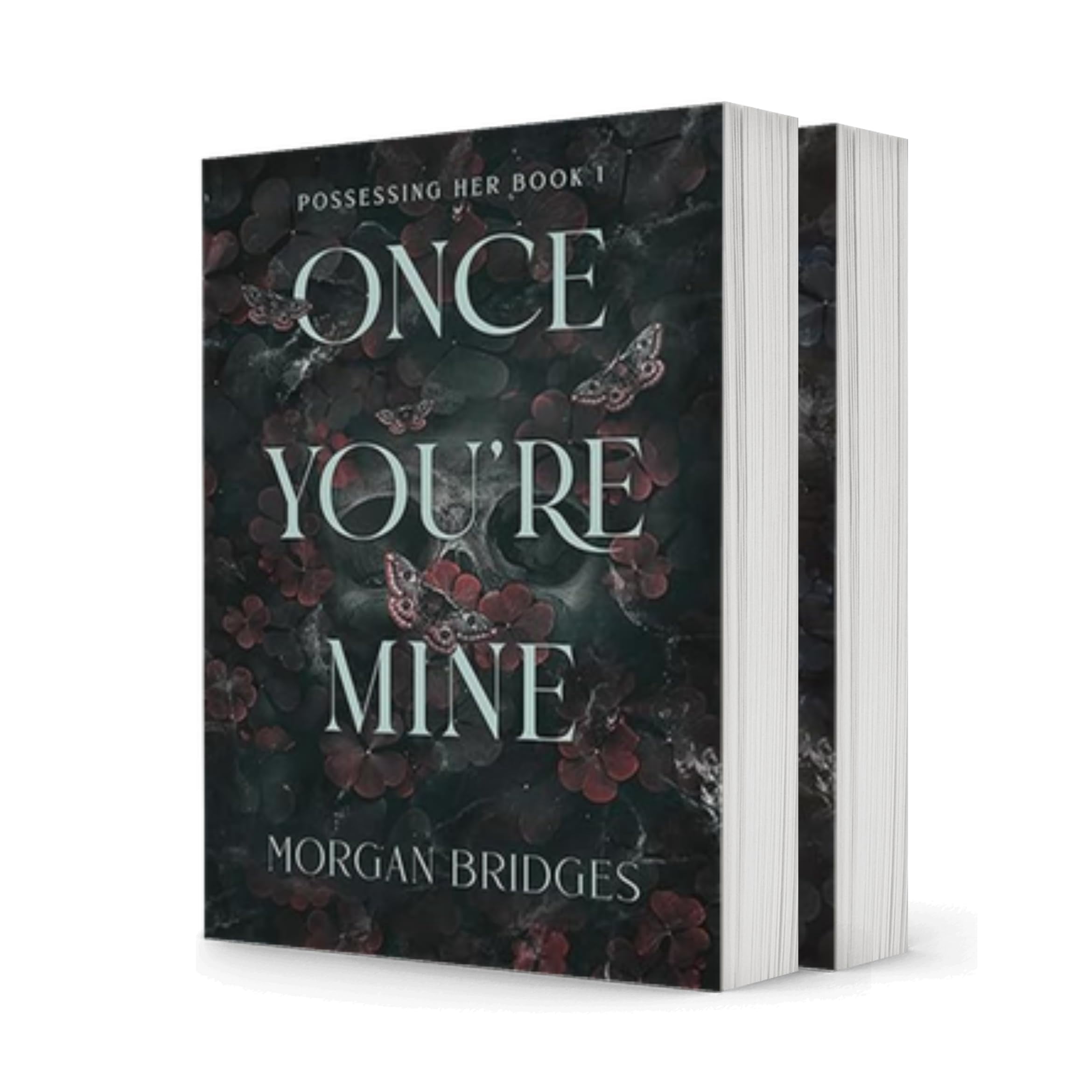 The Possessing Her Series 2 Book Collection Set (Once You're