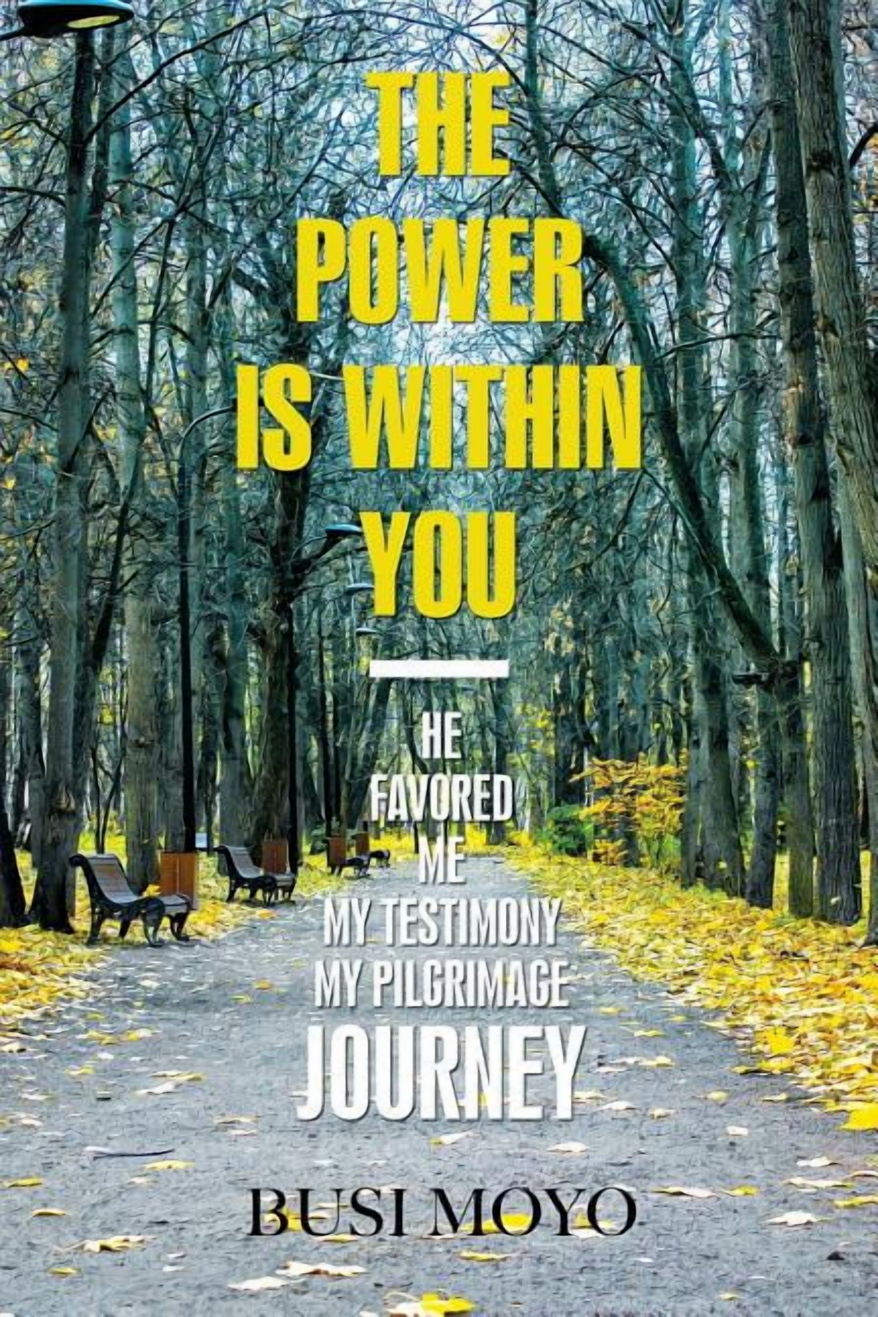 The Power Is Within You (Paperback)