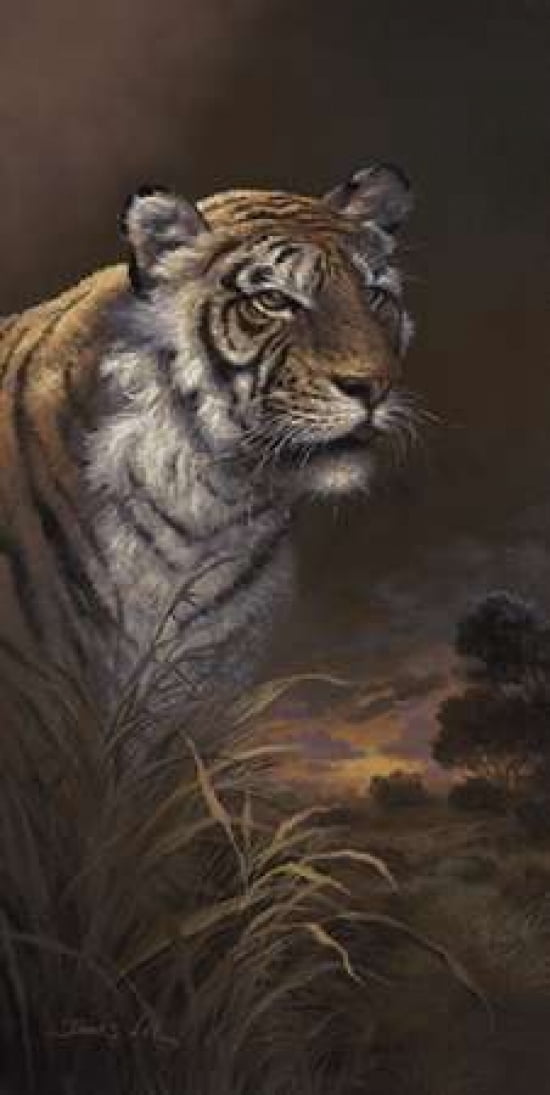 The Power Of Africa Canvas Art - James Lee (24 x 48)