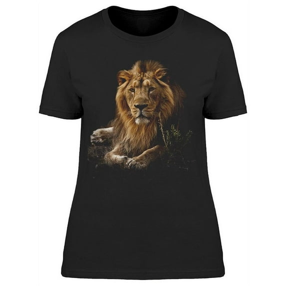 The Power Of The Lion T-Shirt Women -Image by Shutterstock, Female Small
