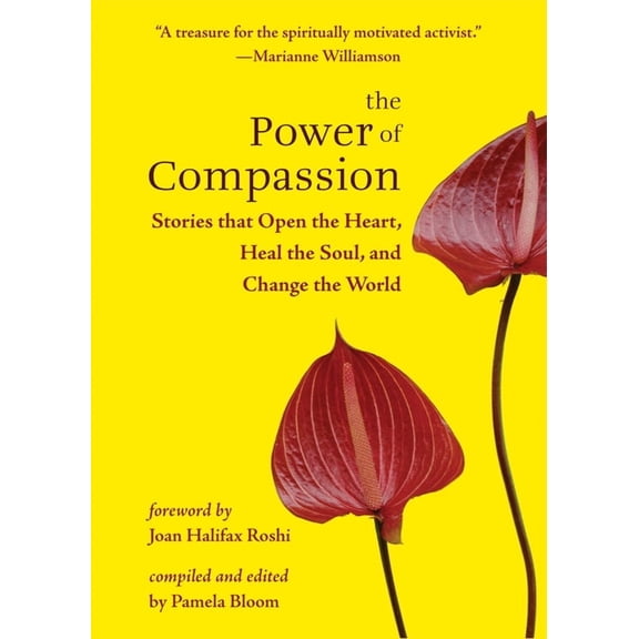 The Power of Compassion : Stories That Open the Heart, Heal the Soul, and Change the World (Paperback)