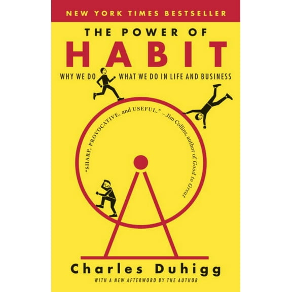 The Power of Habit: Why We Do What We Do in Life and Business (Paperback)