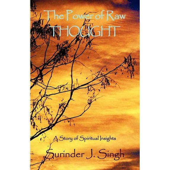 The Power of Raw Thought, (Paperback)