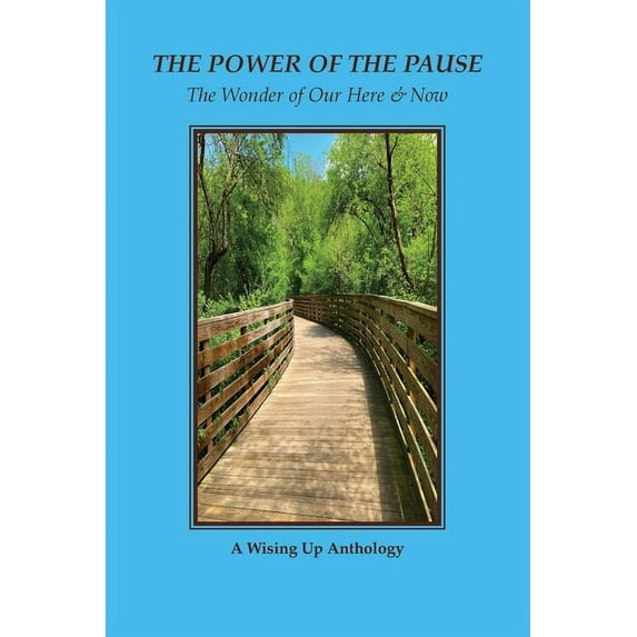 The Power of the Pause (Paperback)
