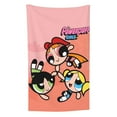thumbnail image 1 of The Powerpuff Girls Blanket Anti-Pilling Flannel 32"X48" Super Soft Plush Air Condition Quilt Fluffy Warm Cozy Decorative Blankets, 1 of 7