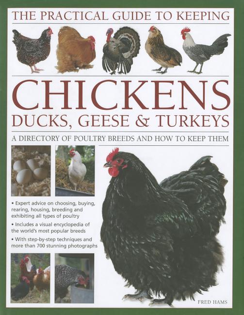 The Practical Guide to Keeping Chickens, Duck, Geese & Turkeys A