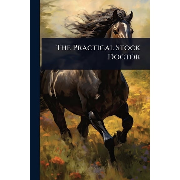 The Practical Stock Doctor, (Paperback)