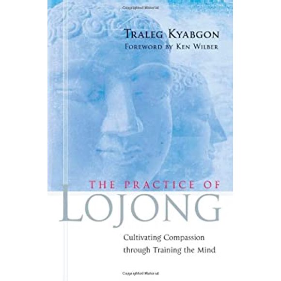 The Practice of Lojong : Cultivating Compassion through Training the Mind (Paperback)