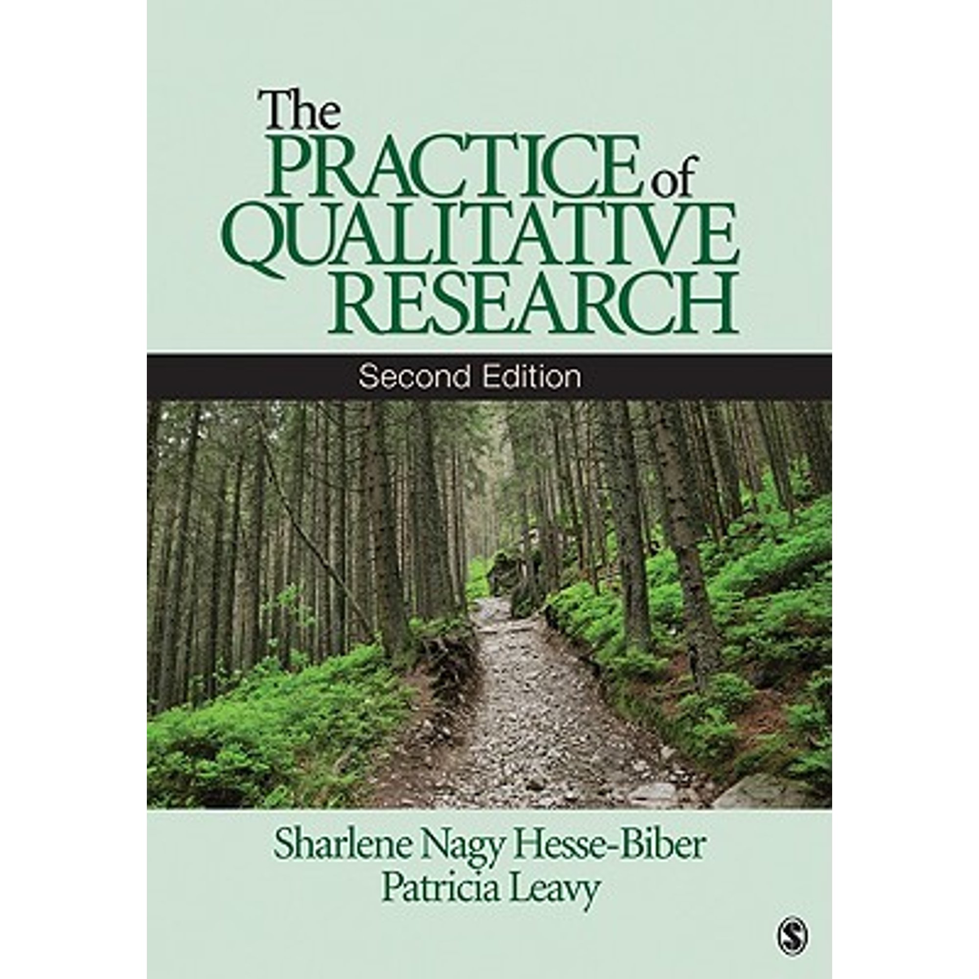 Pre-Owned The Practice of Qualitative Research Paperback Sharlene Hesse ...