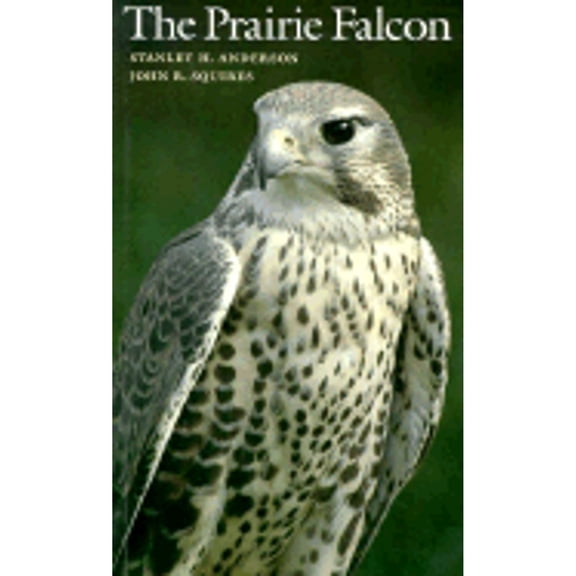 The Prairie Falcon (Paperback) by Stanley H Anderson, John R Squires