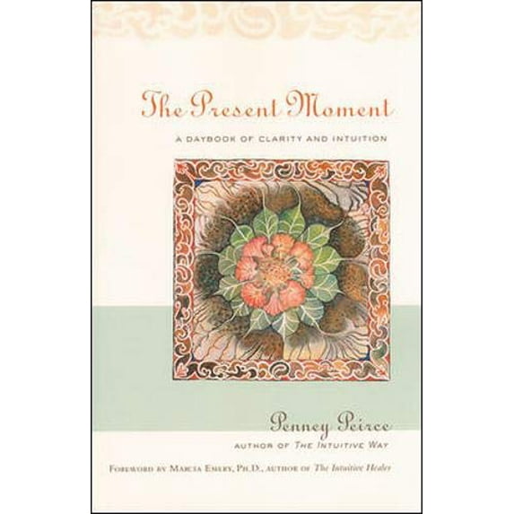 Pre-Owned The Present Moment: A Daybook of Clarity and Intuition (Paperback) 0809224755 9780809224753