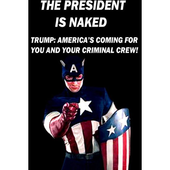 The President is Naked, (Paperback)