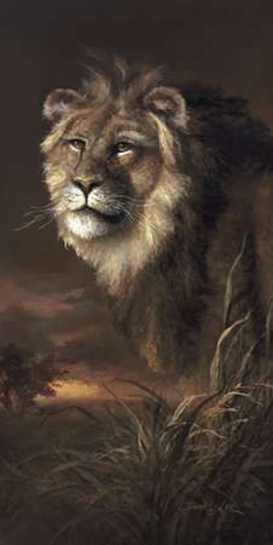 The Pride Of Africa Canvas Art - James Lee (24 x 48)