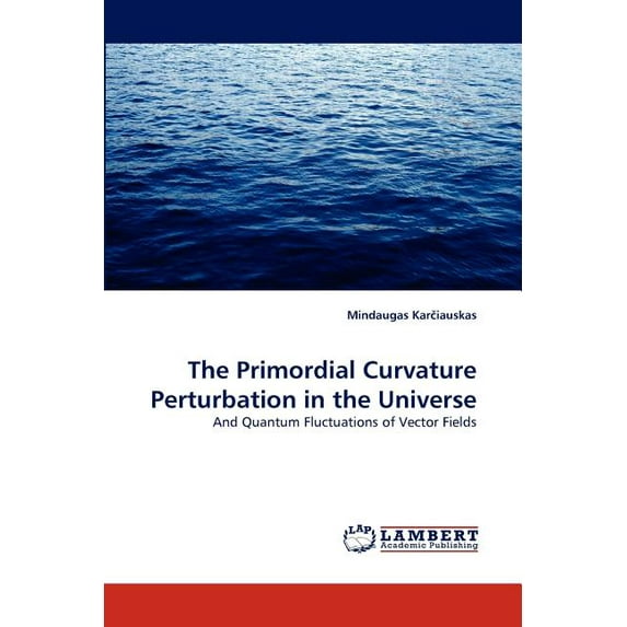 The Primordial Curvature Perturbation in the Universe (Paperback)