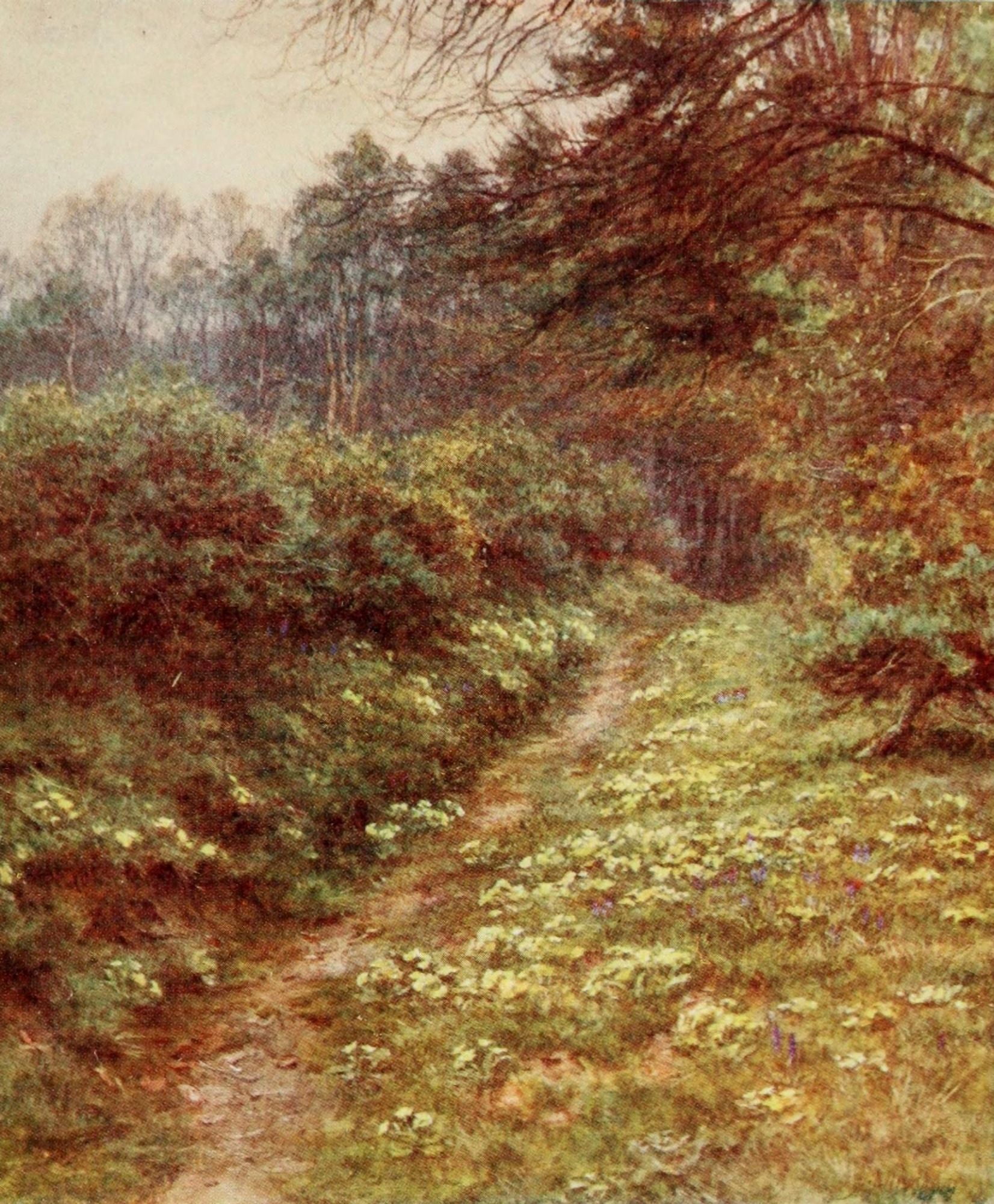 The Primrose path of Dalliance Canvas Art - Helen Allingham (18 x 24)