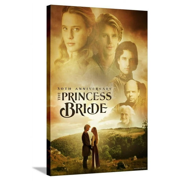 The Princess Bride 30th Anniversary, Stretched Canvas Wall Art Sold by Art.Com