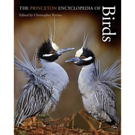 Pre-Owned The Princeton Encyclopedia of Birds (Paperback) 9780691140704