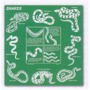 Printed Image Snakes Bandanna